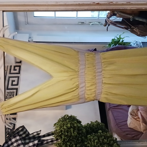 Gorgeous Luxite Vintage 👑 Grecian Style Nightgown  S - Picture 11 of 11